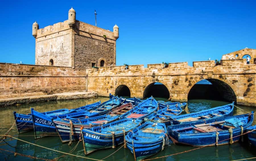 From Marrakech: small group Day Trip To Essaouira Mogador - Ramparts, Cannons, and Panoramic Views You Can Actually Enjoy