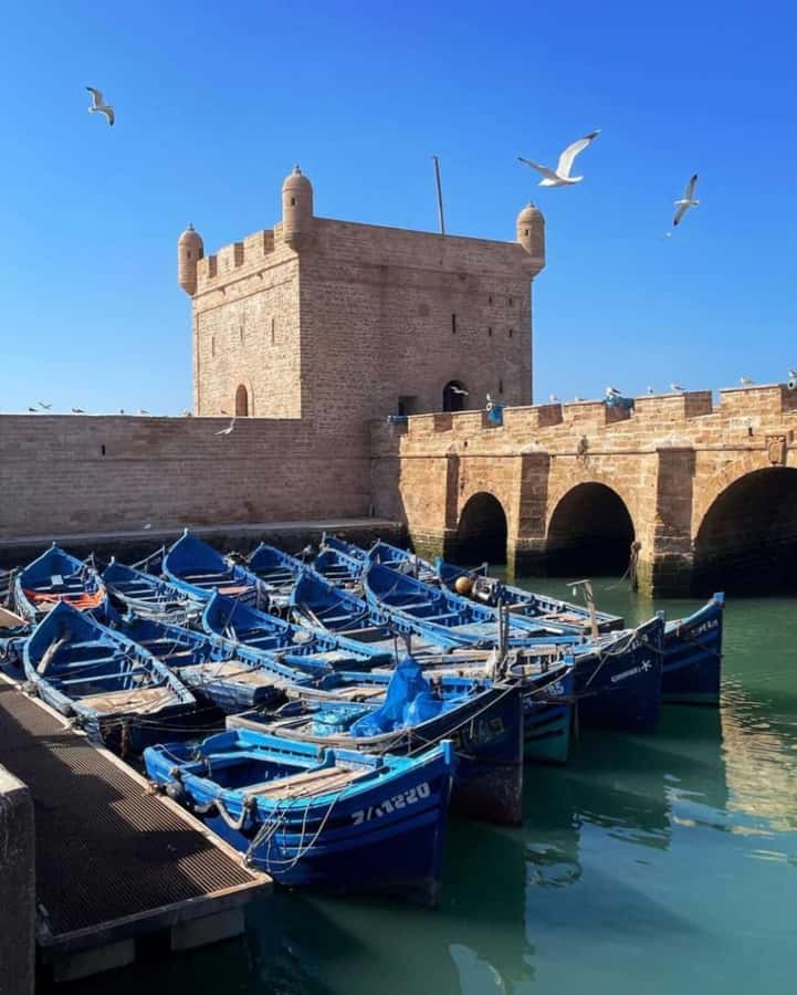 From Marrakech: small group Day Trip To Essaouira Mogador - Marrakesh Pickup, Van Ride, and the Women-Led Argan Stop at Marjana