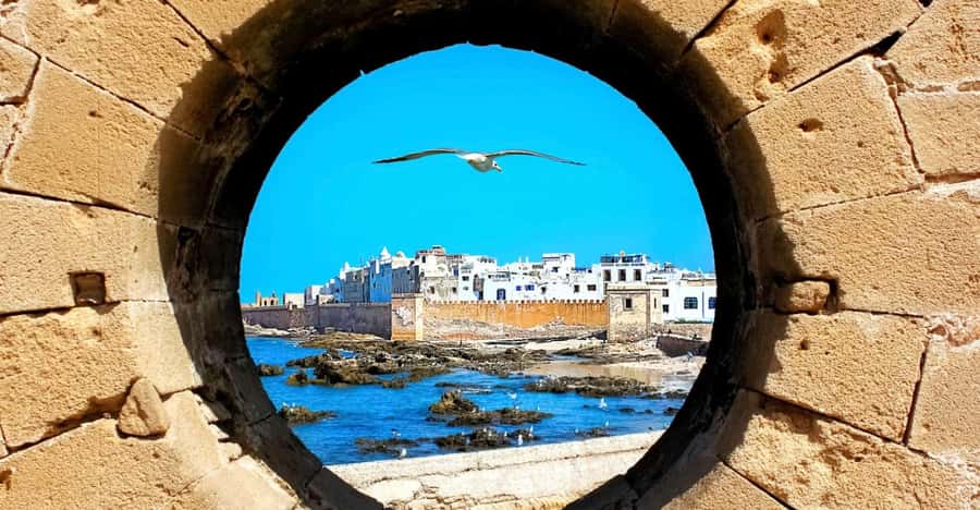 From Marrakech: Small Group To Essaouira & Medina Day Trip - Logistics That Matter on the Ground