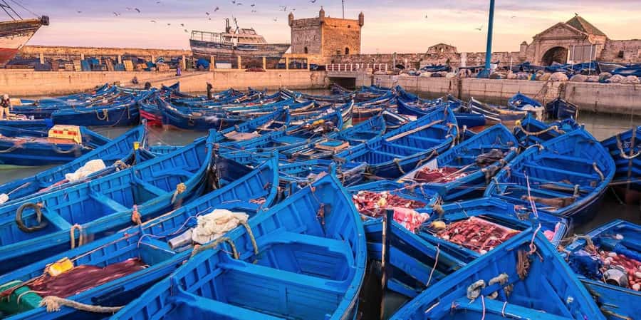 From Marrakech: Small Group To Essaouira & Medina Day Trip - Entering Essaouira: Medina Streets and Portuguese-Style Charm