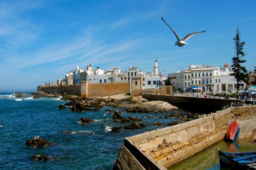 From Marrakech: Small Group To Essaouira & Medina Day Trip - Gnaoua Music and Thuya Wood Crafts: Culture You Can See