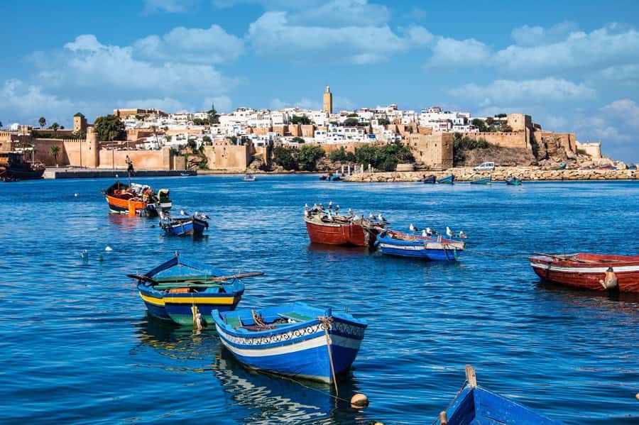 From Marrakech: Small Group To Essaouira & Medina Day Trip - Road Trip West: Chichaoua Coffee and the Argan Tree Route