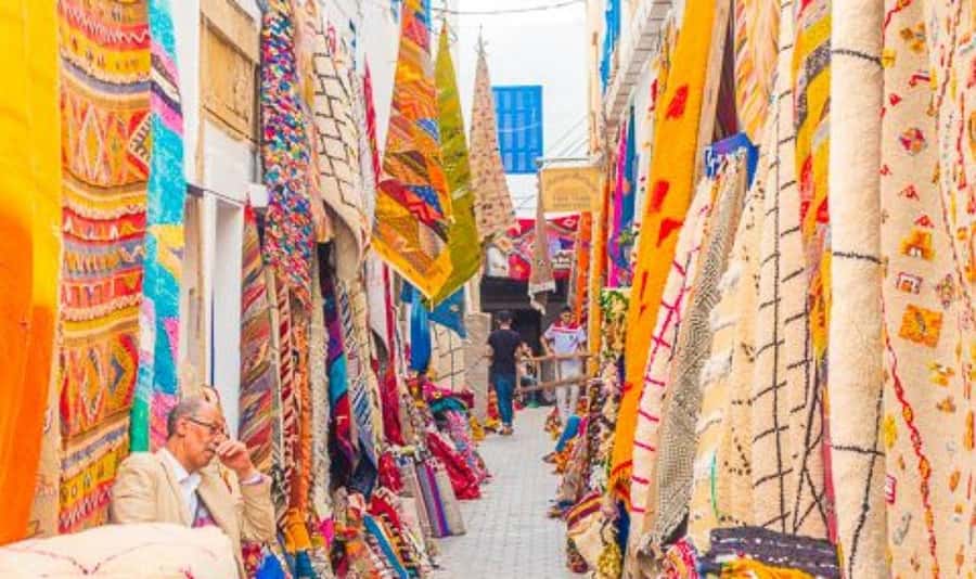 From Marrakech: Small Group to Essaouira & Sekkala Day Trip - Key highlights you should care about