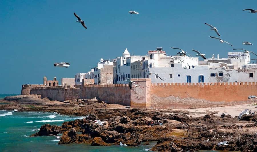 From Marrakech: Small Group to Essaouira & Sekkala Day Trip - Boat harbor to ocean beach time: how to spend your 5 hours well