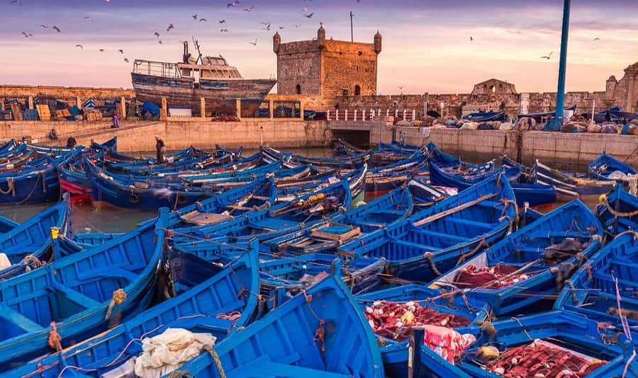 From Marrakech: Small Group to Essaouira & Sekkala Day Trip - Getting picked up and settling into the ride
