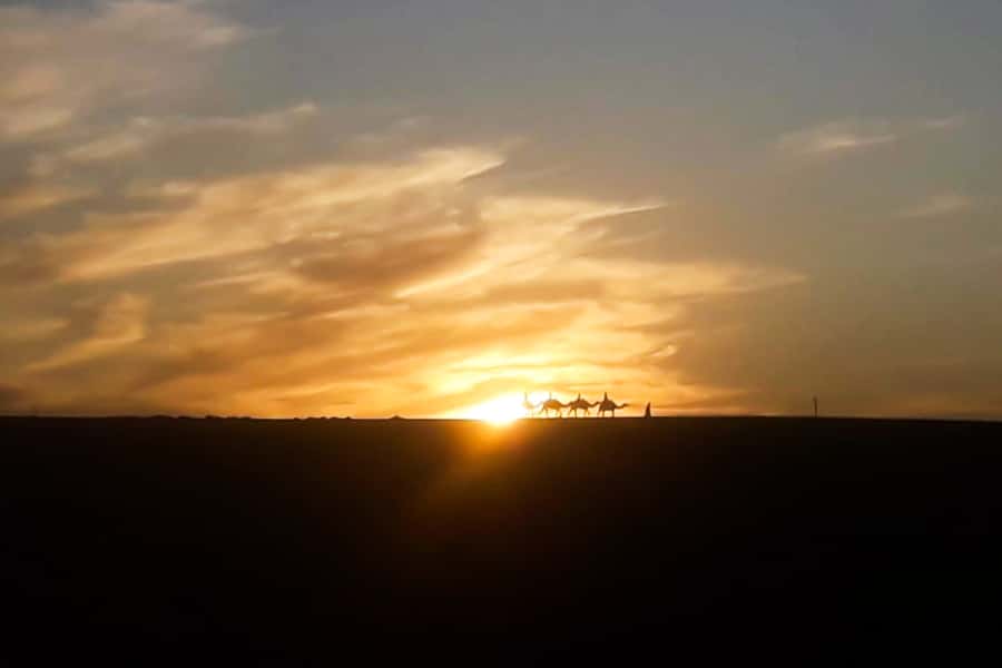 From Marrakech: Sunset Camel Ride in the Agafay Desert - Meet your camel guide, then settle into a slow, scenic pace