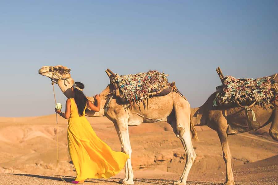 From Marrakech: Sunset Camel Ride in the Agafay Desert - Price and value: is $45 fair?