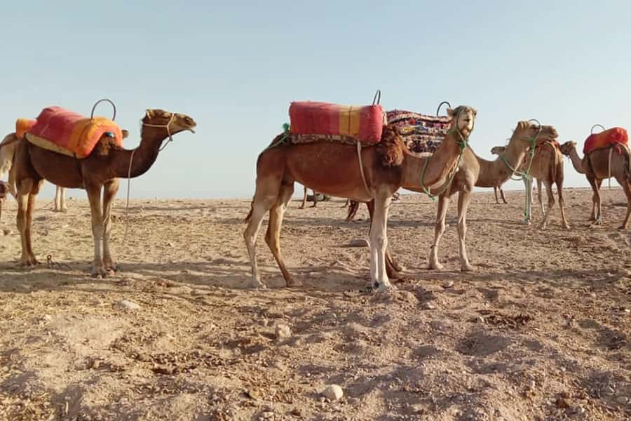 From Marrakech: Sunset Camel Ride in the Agafay Desert - The drive through changing scenery (and why it feels part of the tour)