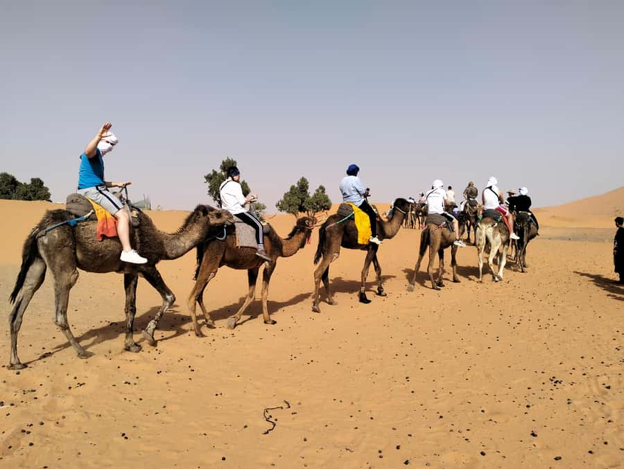 From Marrakech to Agadir : 4-Day Sahara Desert Tour - Key things that make this Marrakech to Agadir desert tour worth your time