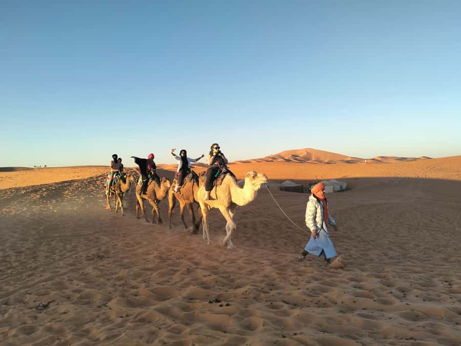 From Marrakech to Agadir : 4-Day Sahara Desert Tour - Price and logistics: what you are really paying for at about $302 per person