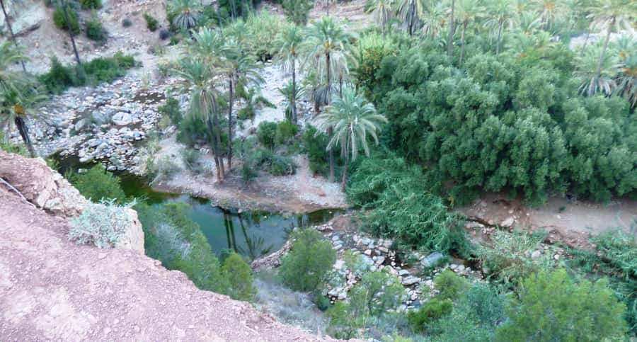 From Marrakech to Agadir Private Day Trip with Lunch - Guide matters: Mahmood and Reda as examples of what you want