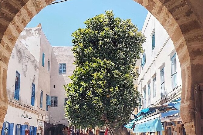 From Marrakech To Essaouira Mogador Full Day Trip | Small-group - Using your free time in the Essaouira Medina, port, and beach zone without getting rushed