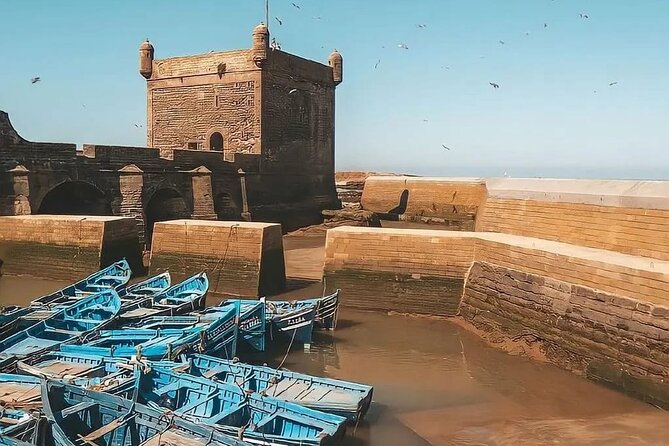 From Marrakech To Essaouira Mogador Full Day Trip | Small-group - Drivers and communication: why the ride quality can make or break the day