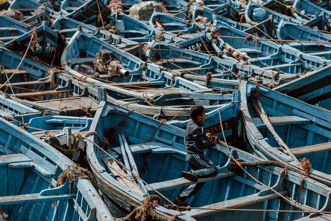 From Marrakech To Essaouira Mogador Full Day Trip | Small-group - Who should book this Essaouira day trip from Marrakech?