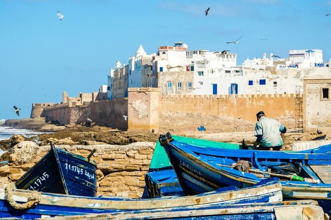 From Marrakech To Essaouira Mogador Full Day Trip | Small-group - From Marrakech to the argan countryside: why this stop is more than a photo break