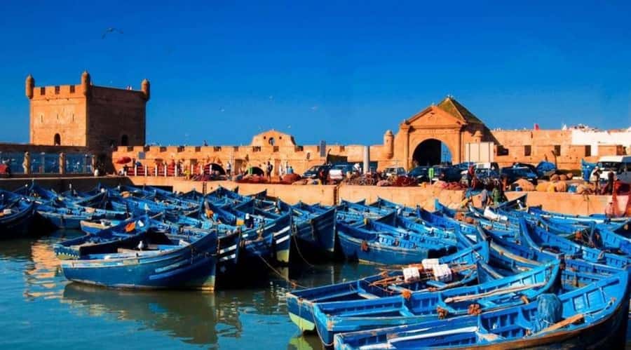 From Marrakech To Essaouira Mogador Full Day Trip Smallgroup - Why Essaouira Feels Like a Whole Different Morocco
