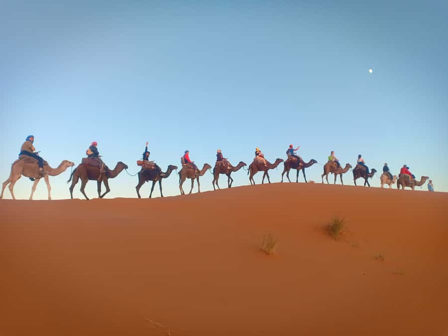 From Marrakech to Fes 3-Day Luxrury Tour via Sahara Desert - Who should book this Sahara desert route
