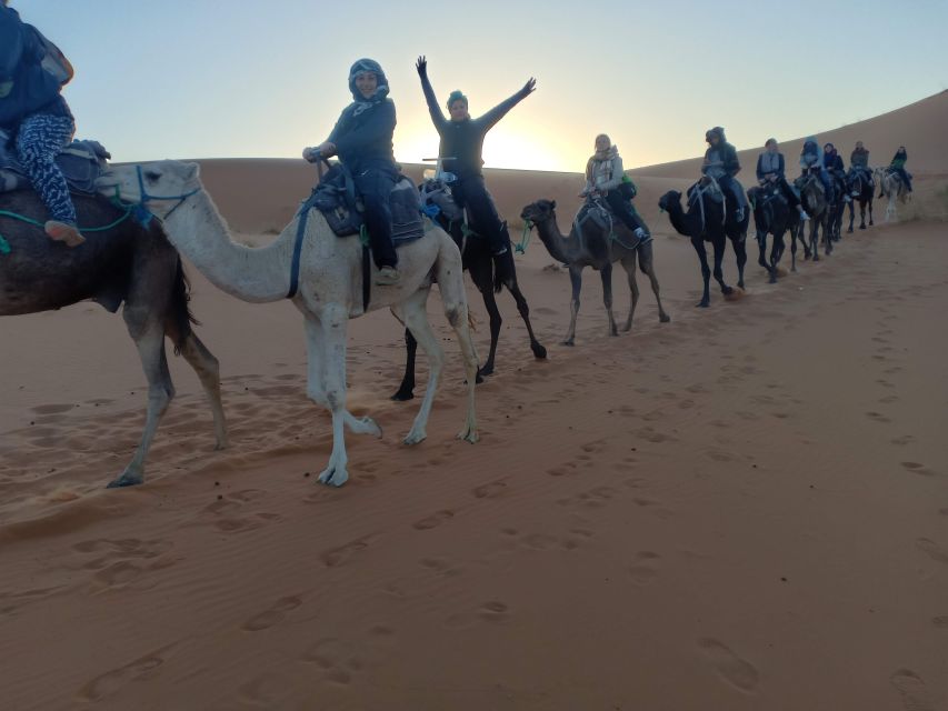 From Marrakech to Fes 3-Day Luxrury Tour via Sahara Desert - Day 3: Merzouga to Fes, Ziz Valley, cedar forests near Ifran, and the long road finish