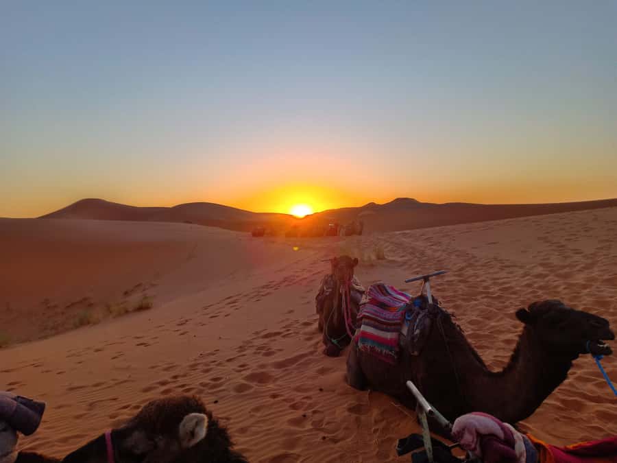 From Marrakech to Fes 3-Day Luxrury Tour via Sahara Desert - Included vs. extra costs: where your budget can surprise you
