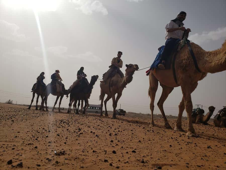 From Marrakech to Fes 4-Day Merzouga Sahara Desert Adventure - Who should book, and who should skip this Morocco road trip