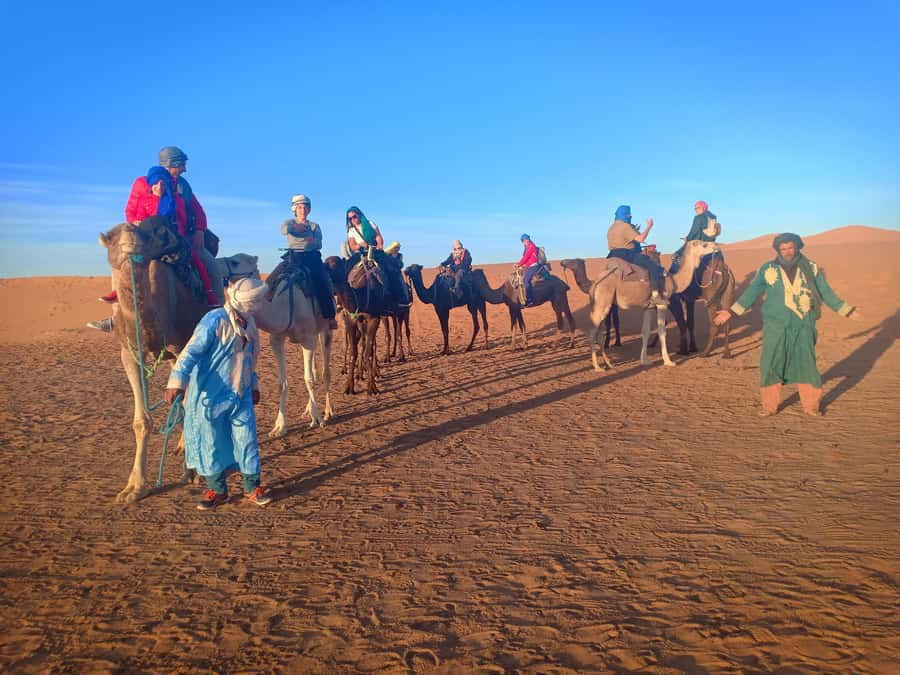 From Marrakech to Merzouga Erg Chebbi: 4-Day Desert Tour - Day 4: The return over the Atlas to Marrakech, with one last pass moment