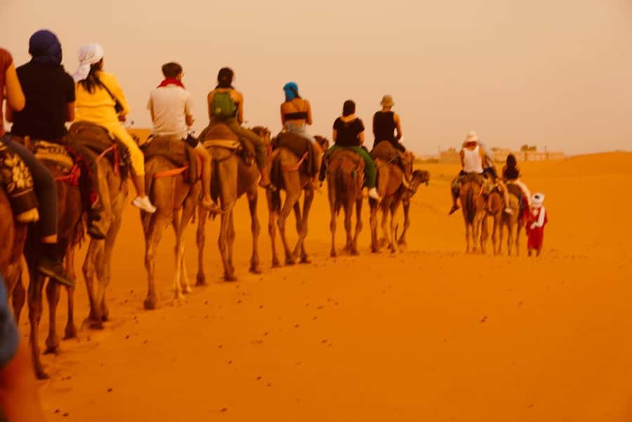 From Marrakech: Tour 3-Day To Fez Via-Desert Merzouga - Price and Logistics: Is $119 Good Value?
