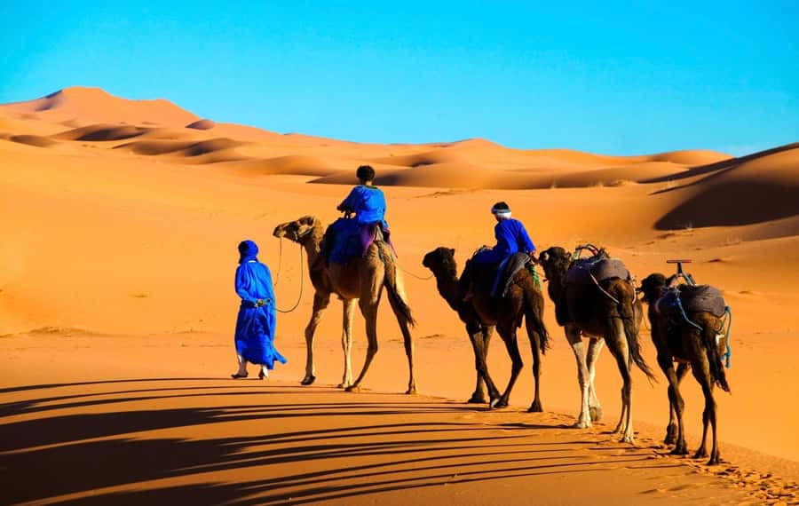 From Marrakech: Tour 3-Day To Fez Via-Desert Merzouga - Comfort Tips That Make the Desert Easier