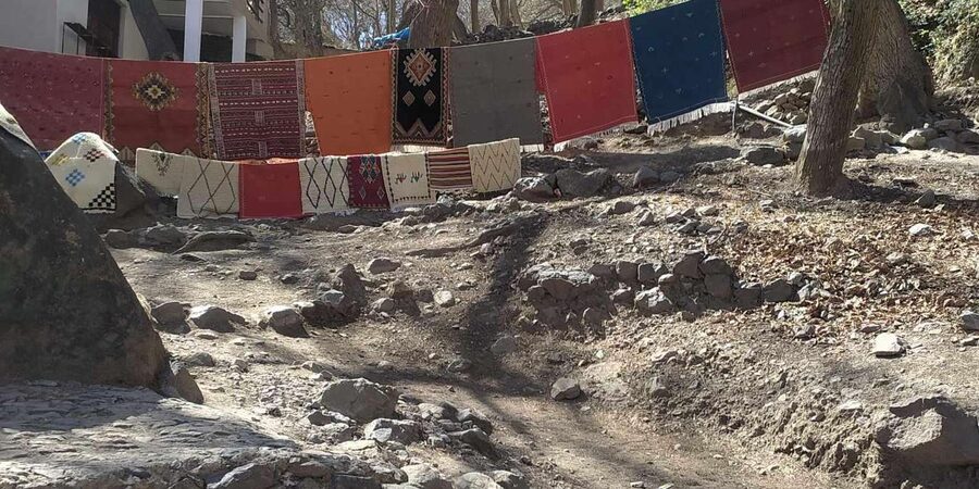 From Marrakech: Trek to Atlas Mountains, Full-Day Trip Lunch - Morning pickup and the women’s argan oil cooperative stop