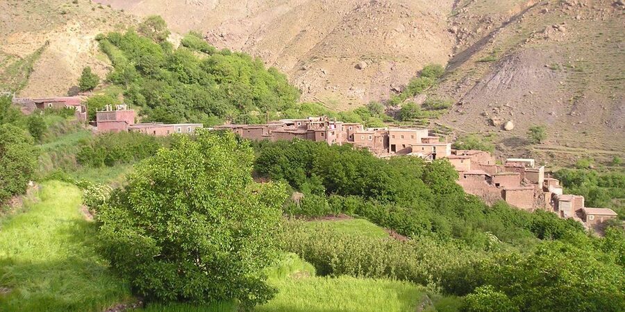 From Marrakech: Trek to Atlas Mountains, Full-Day Trip Lunch - Traditional lunch in a Berber home: tajine, mint tea, and vegetarian options
