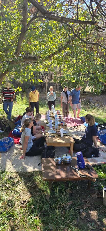 From Marrakech:Trekking in Atlas mountains 2 days - Pace, Difficulty, and What Your Body Will Notice