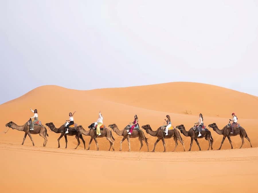 From Marrakech: Unforgettable 3-Day Desert Tour to Fes - From Marrakech to Fes: A route that changes fast