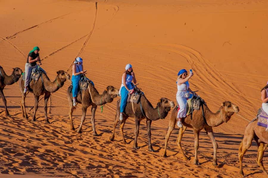 From Marrakech: Unforgettable 3-Day Desert Tour to Fes - Best-fit travelers: who this tour suits well