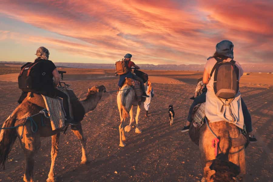 From Marrakech: Zagora 2-Day Desert Safari with Food & Camp - Key things that make this safari worth your time