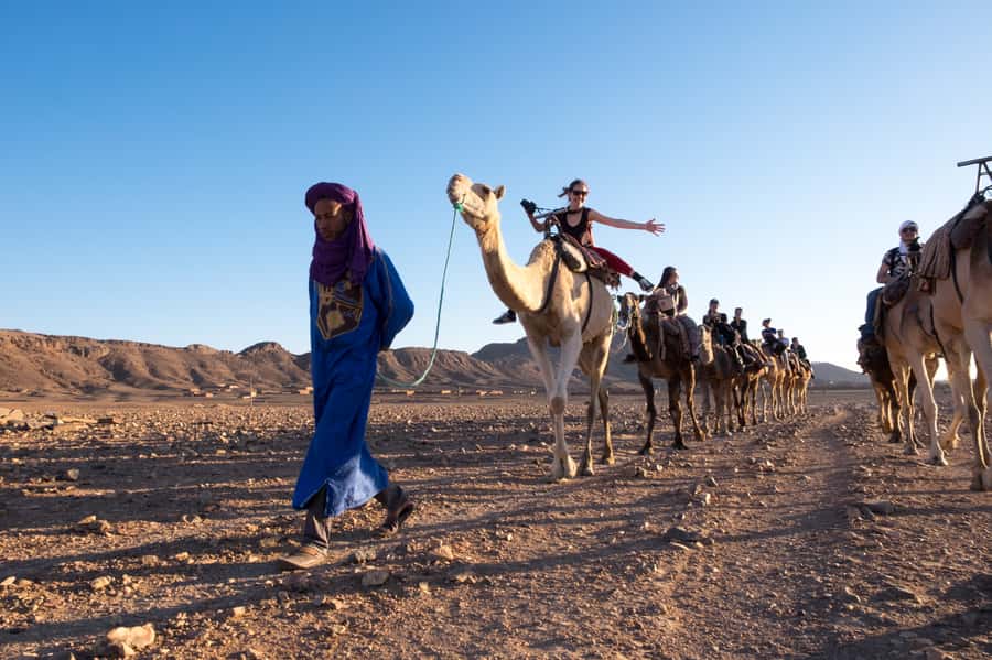 From Marrakech: Zagora 2-Day Desert Safari with Food & Camp - Comfort, camel tips, and the small money traps to watch
