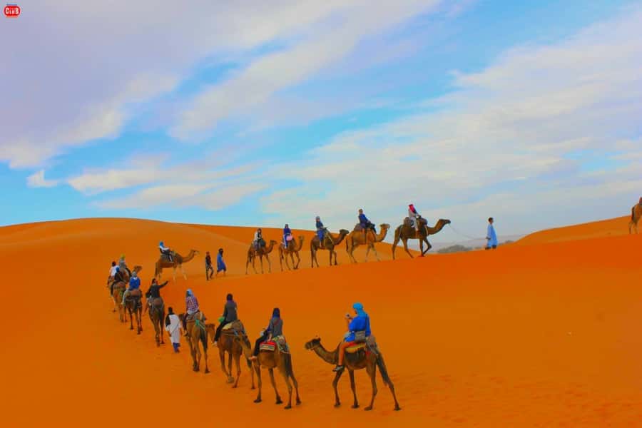 From Marrakesh: 2-Day Desert Zagoura Tour - Key Highlights Worth Getting Excited About