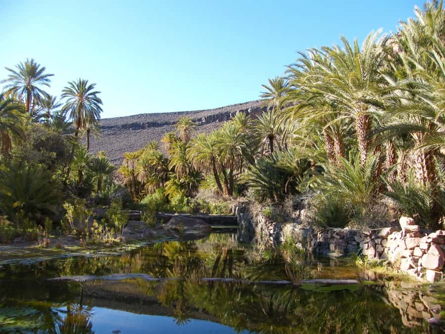 From Marrakesh: 2-Day Trek to Ait-Benhaddou and Ouarzazate - Overnight Comfort: Aït Benhaddou or Ouarzazate, Depending on Availability