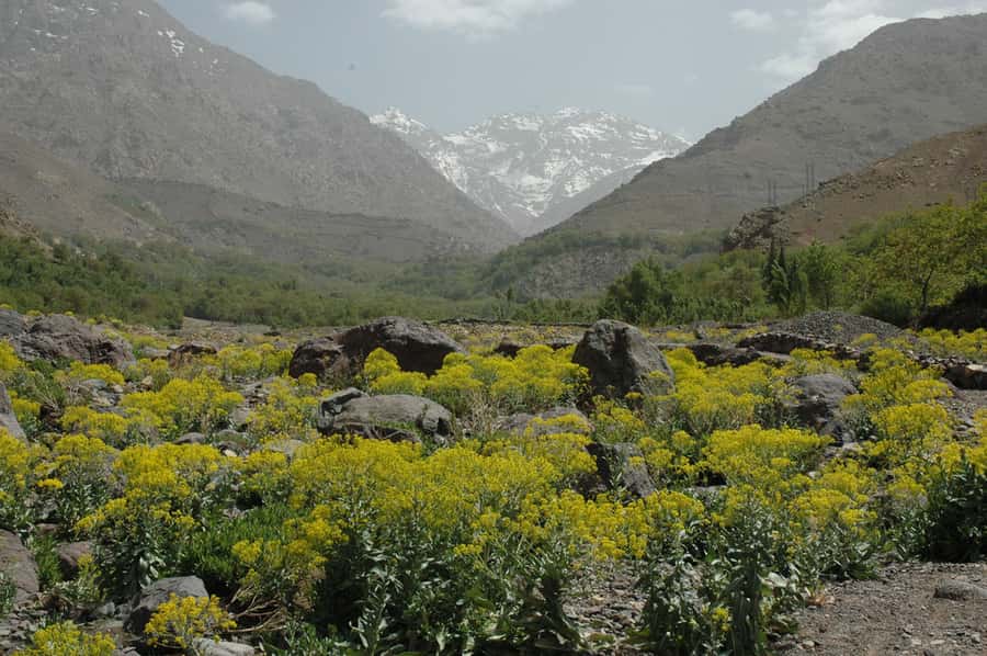 From Marrakesh: 3-Day Trip to Berber Villages - Key takeaways before you go