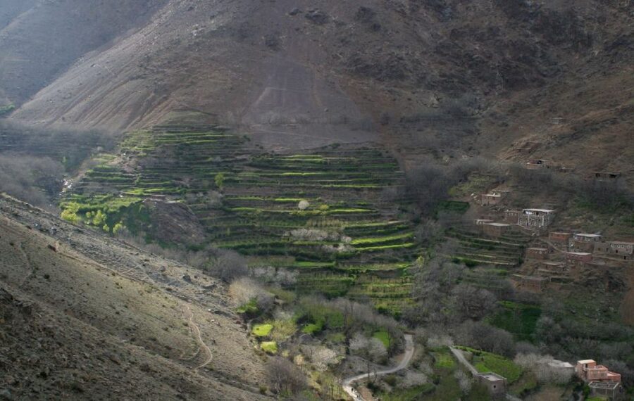 From Marrakesh: 3-Day Trip to Berber Villages - Day 3: The Return Walk Through Tizi Oussem, Mzik, and Back to Imlil