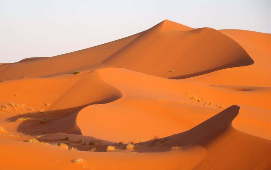 From Marrakesh: 4-Day Private Atlas Mountains & Desert Tour - Dadès Valley and Skoura, where roses, palms, and kasbah culture meet