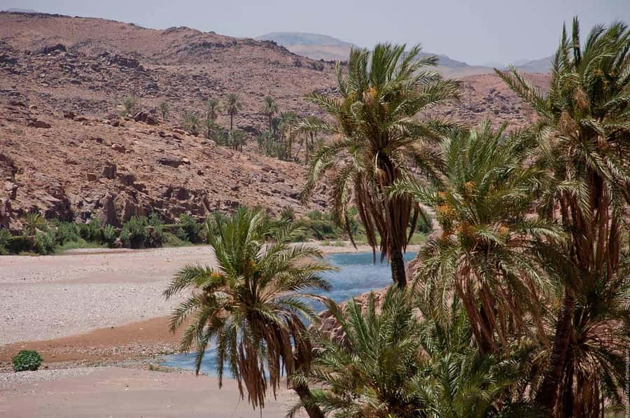 From Marrakesh: 4-Day Private Atlas Mountains & Desert Tour - Sunrise dunes, the return camel trek, and the Rissani fossil stop