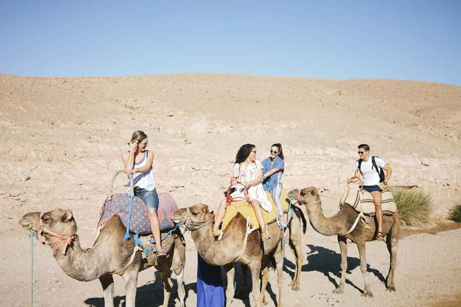 From Marrakesh: Agafay Desert Quad Biking, Camels & Dinner - Should You Book This Agafay Desert Quad Biking, Camels & Dinner Tour?