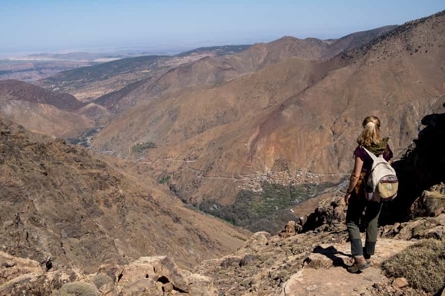 From Marrakesh: Atlas Mountains Talamrout Summit Day Hike - Pine forest trekking and the last push to Adrar Talamrout