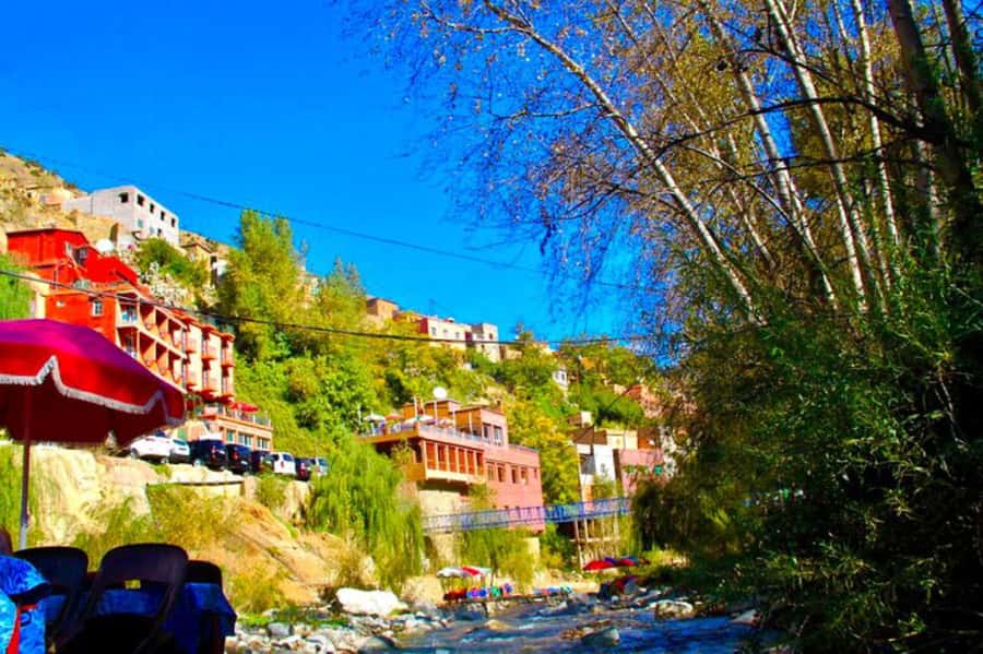 From Marrakesh: Day Tour to Ourika Valley & Atlas Mountains - Argan oil co-operative stop: what you should pay attention to