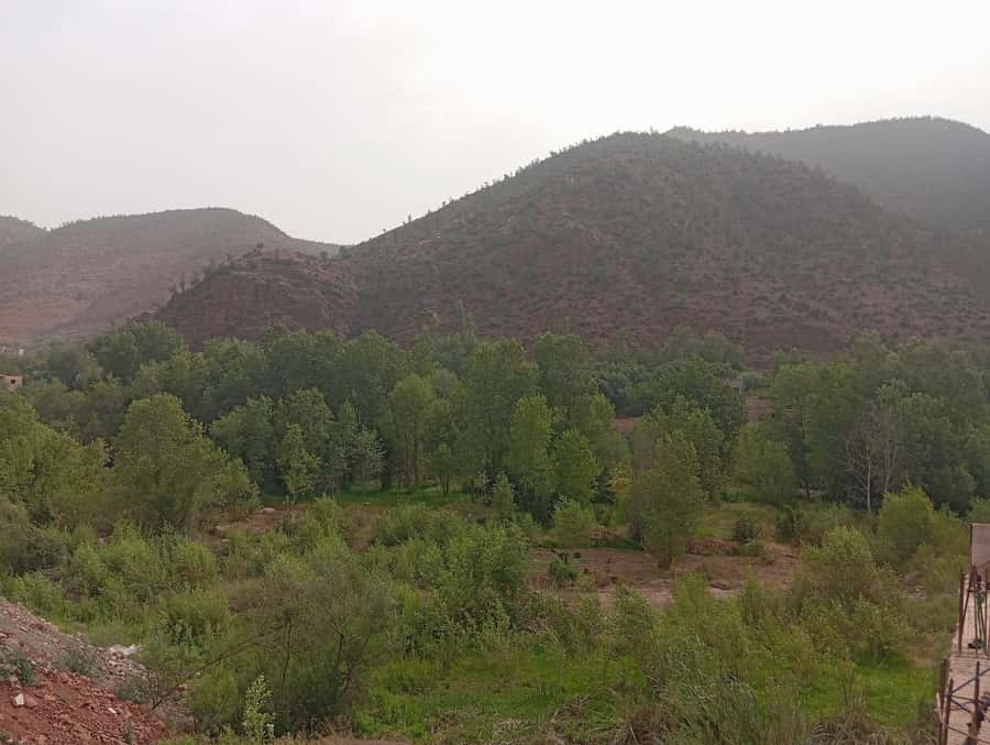 From Marrakesh: Day Tour to Ourika Valley & Atlas Mountains - Lunch by the water and how to handle the food question