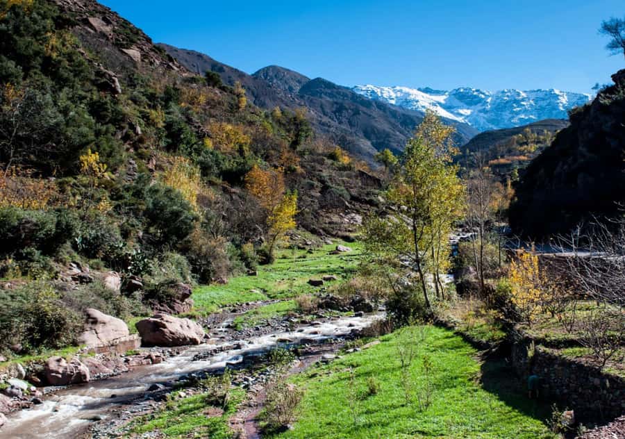 From Marrakesh: Day Trip to Atlas Mountains & Optional Lunch - Atlas Mountains in a Day: What Makes This Trip Work