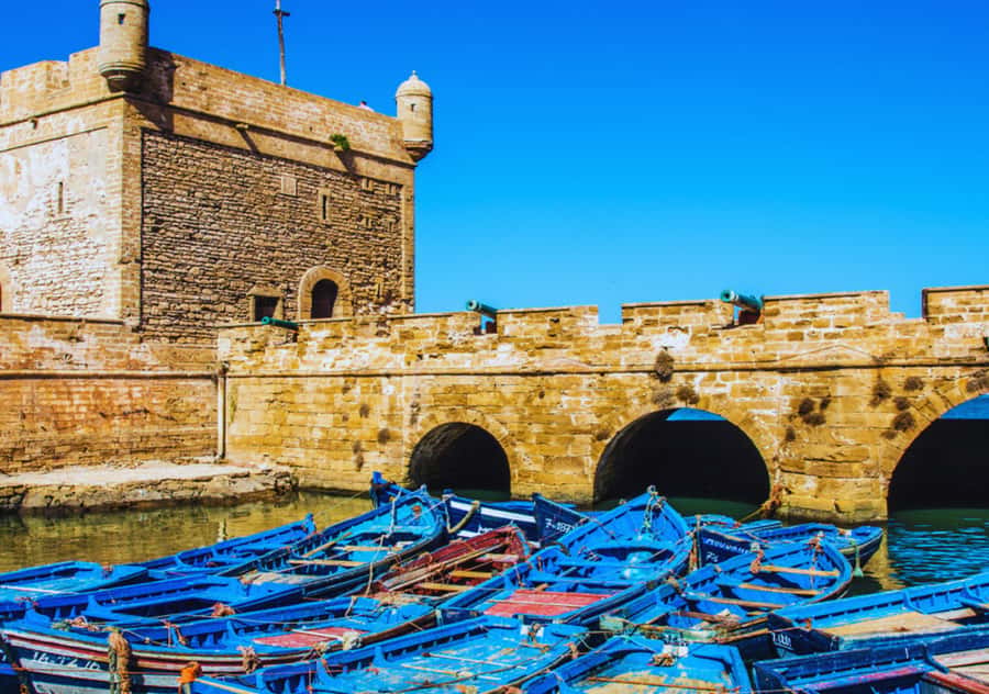 From Marrakesh: Essaouira Full-Day Trip - Why Essaouira Feels Like a Different Morocco Than Marrakech