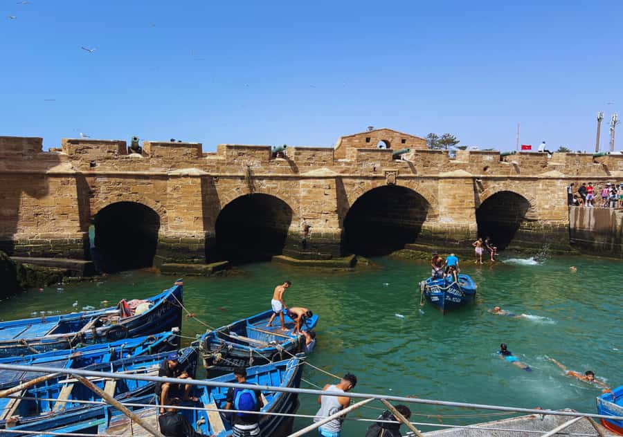 From Marrakesh: Essaouira Full-Day Trip - Should You Book This Marrakesh to Essaouira Day Trip?