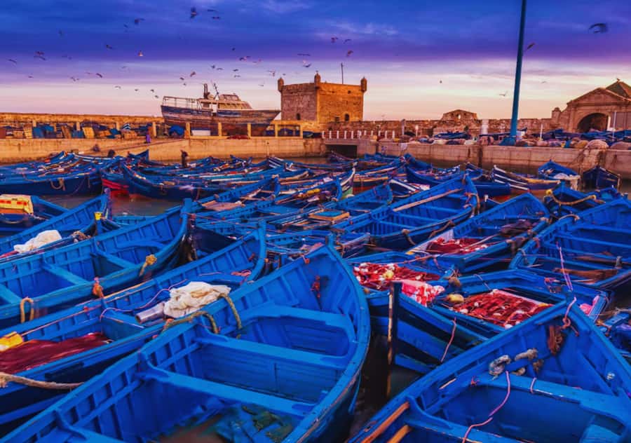 From Marrakesh: Essaouira Full-Day Trip - Hotel Pickup, Air-Conditioned Comfort, And The Storytelling Ride Out