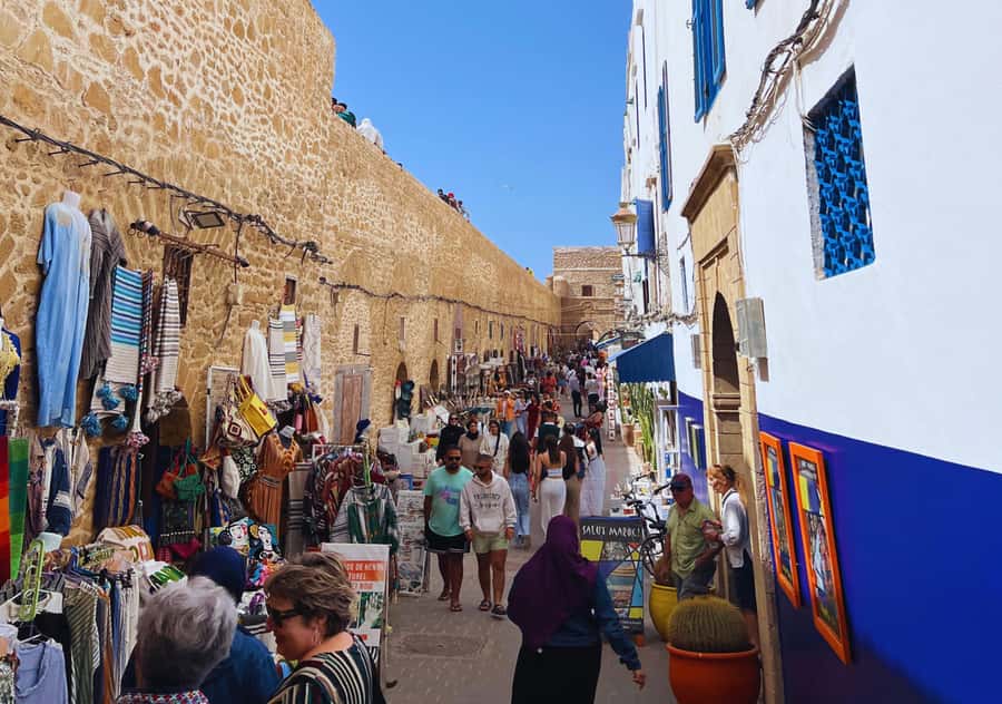 From Marrakesh: Essaouira Full-Day Trip - Seafood Lunch At The Port: What To Plan For