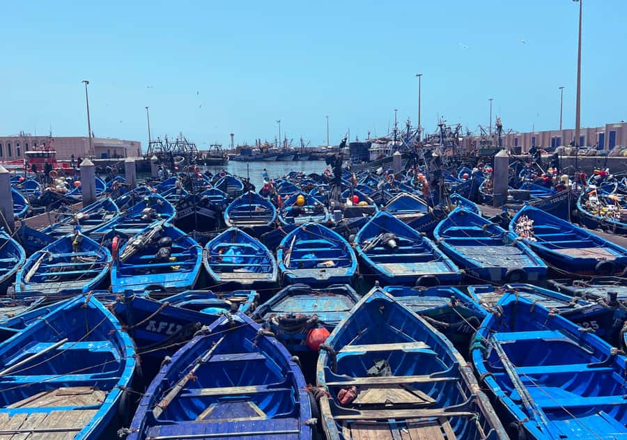 From Marrakesh: Essaouira Full-Day Trip - Price and Value: What About $20 Really Buys You